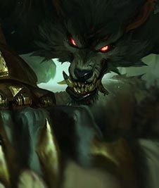Warwick build guides