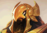 Azir build guide